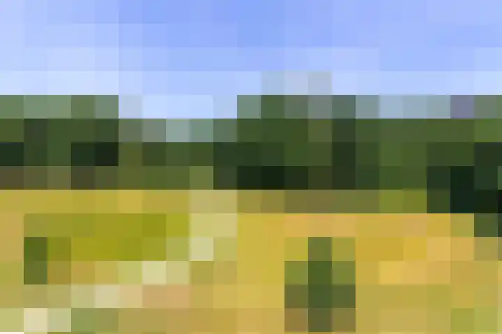 Zonneweide 24 Ossendrecht thumbnail 60