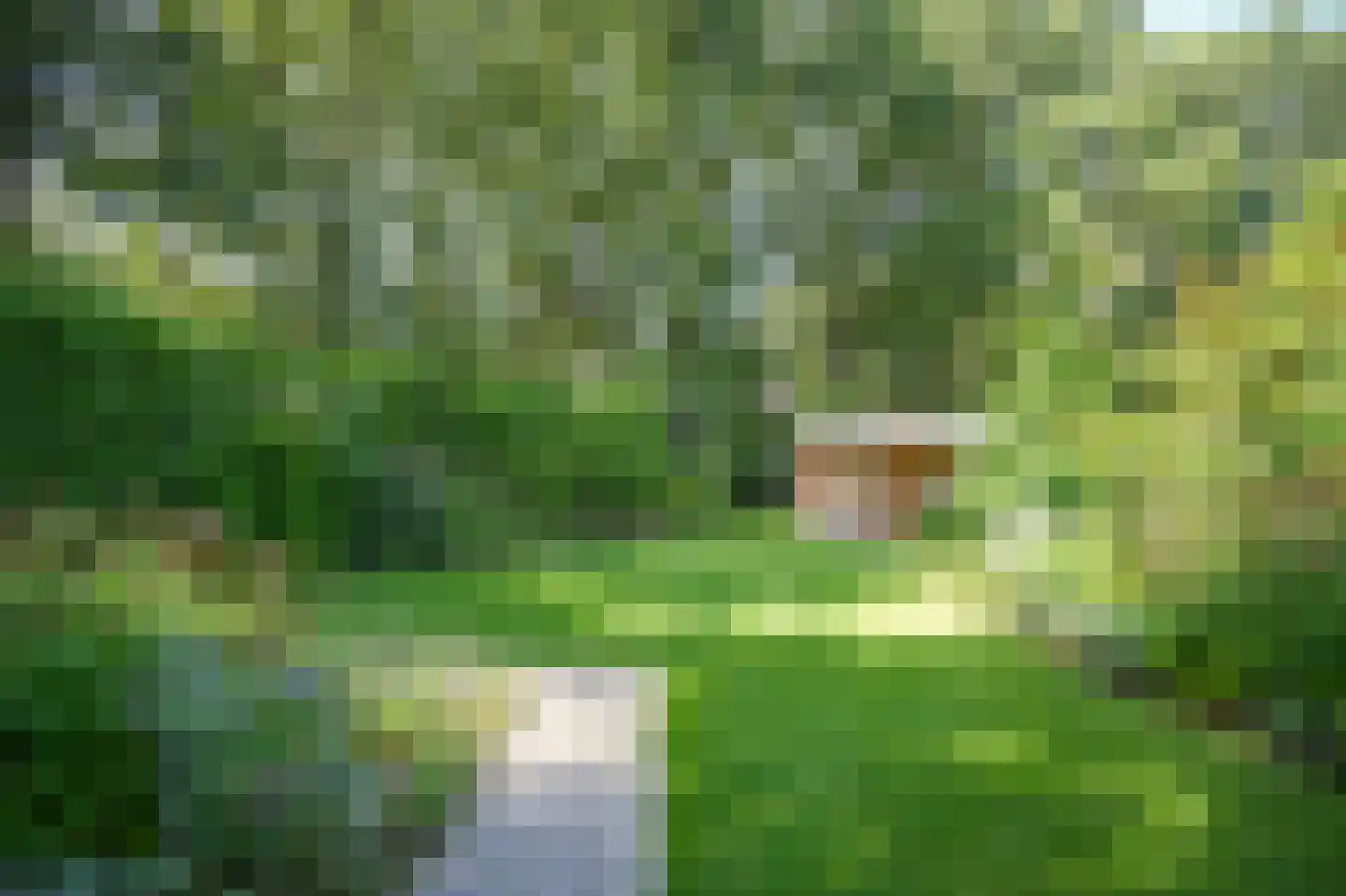 Zonneweilaan 17 Vught thumbnail 51