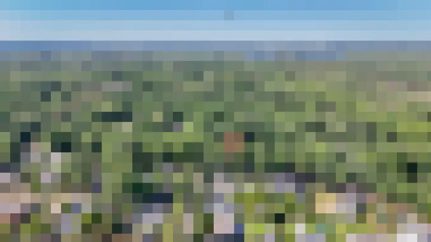 Zonneweilaan 17 Vught thumbnail 61