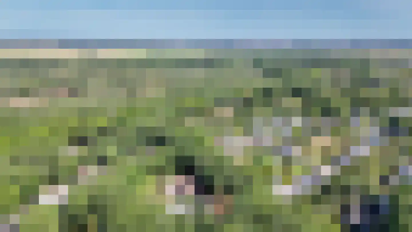 Zonneweilaan 17 Vught thumbnail 62