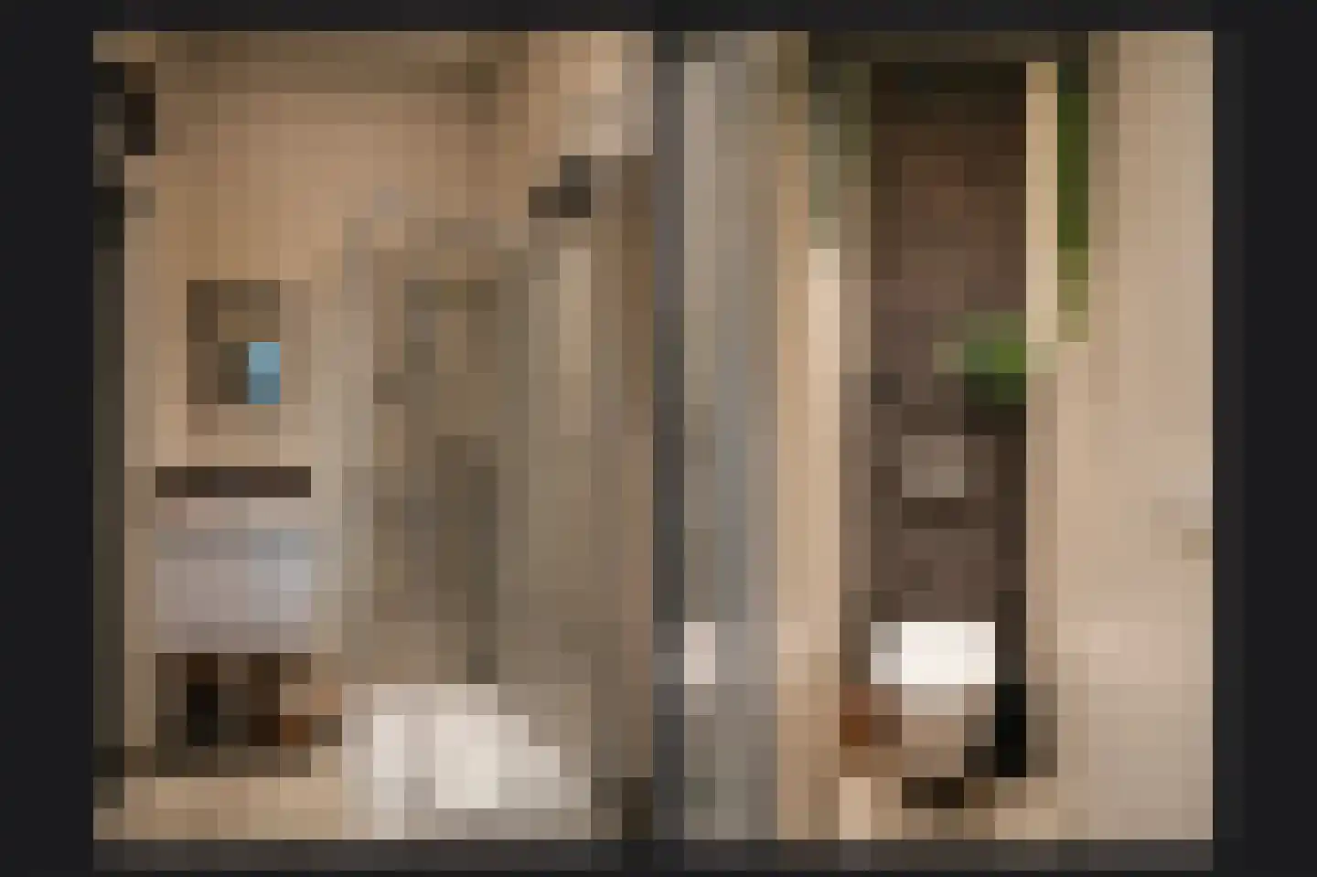 Zonneweilaan 3 Vught thumbnail 50