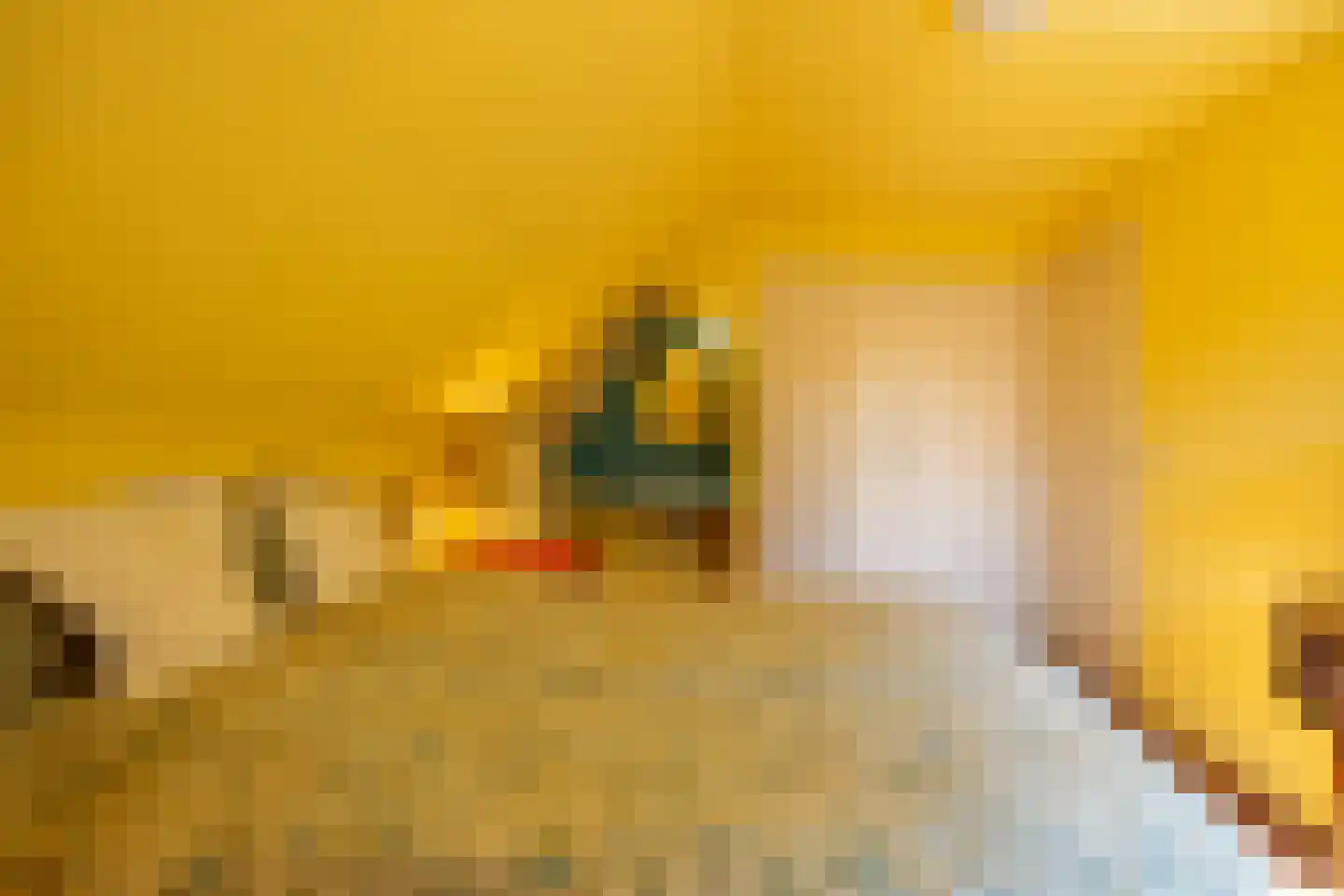 Zonneweilaan 5 Vught thumbnail 27