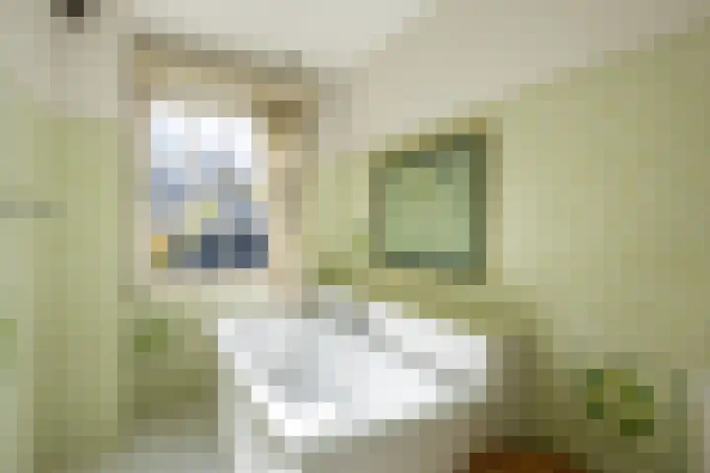 Zonneweilaan 5 Vught thumbnail 31
