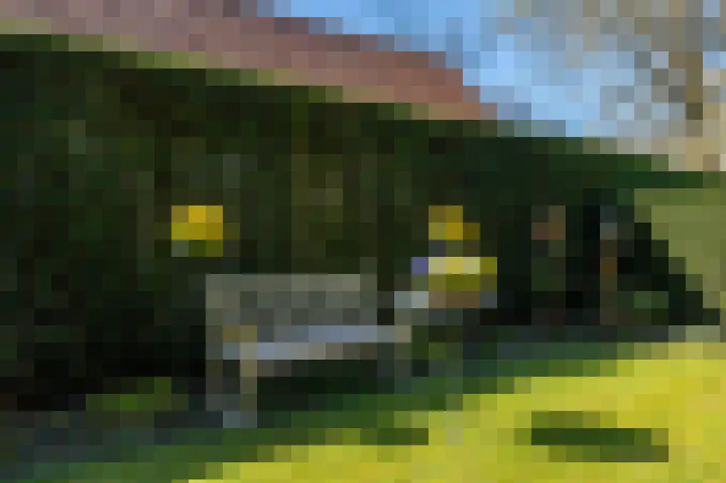 Zonneweilaan 5 Vught thumbnail 43