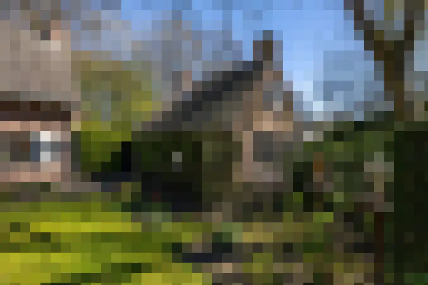 Zonneweilaan 5 Vught thumbnail 44
