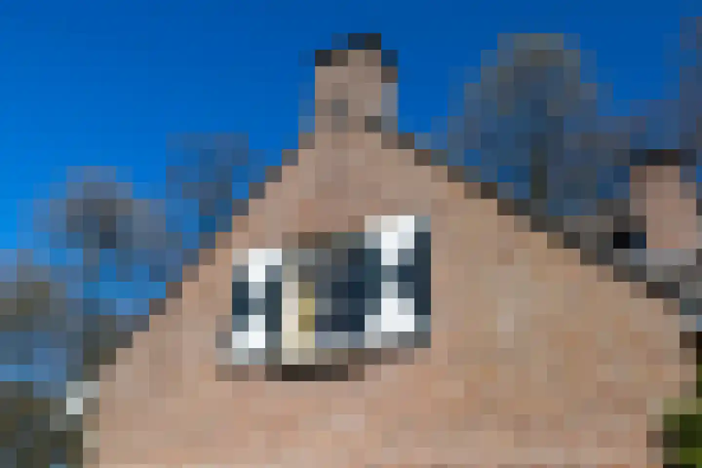 Zonneweilaan 5 Vught thumbnail 45