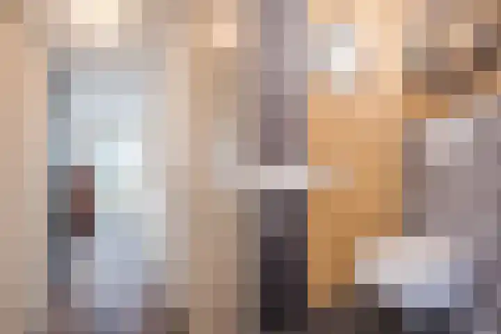 Zonnewende 109 Apeldoorn thumbnail 15