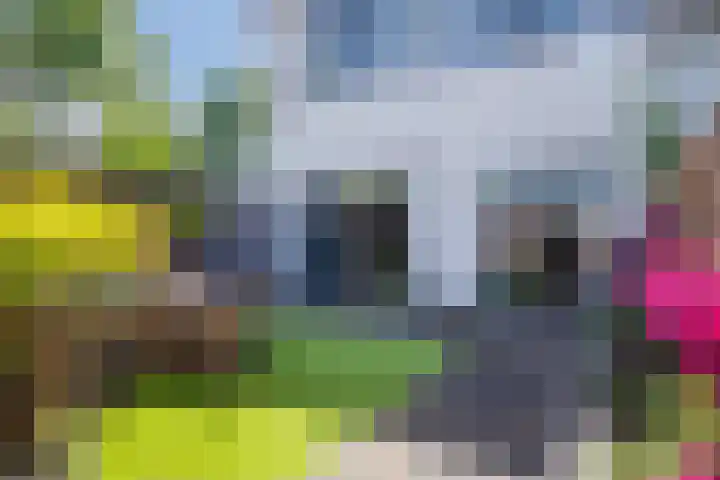 Zonnewende 109 Apeldoorn thumbnail 4