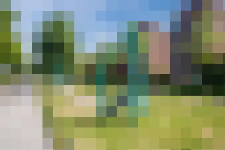Zonnewende 109 Apeldoorn thumbnail 42