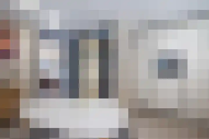 Zonnewende 109 Apeldoorn thumbnail 6