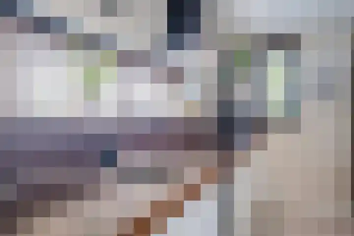 Zonnewende 109 Apeldoorn thumbnail 7