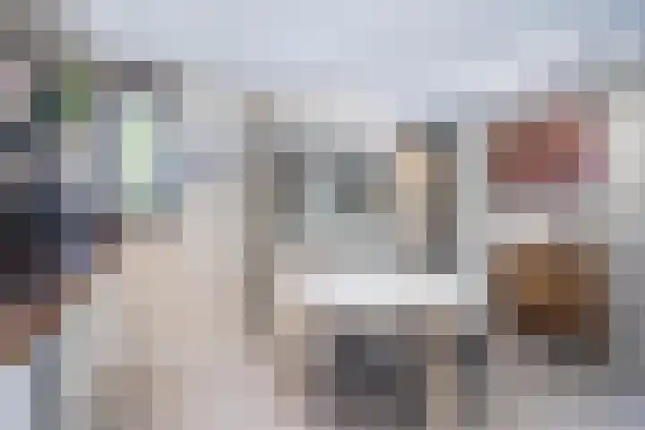 Zonnewende 109 Apeldoorn thumbnail 8
