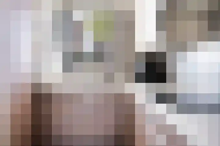 Zonnewende 11 Apeldoorn thumbnail 11