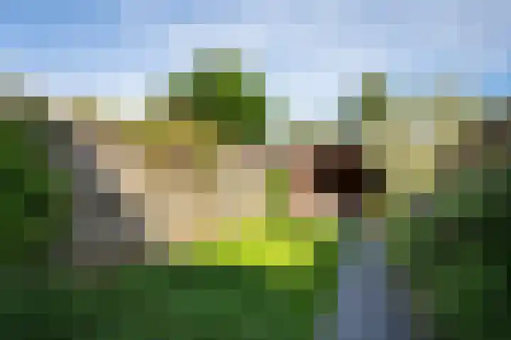 Zonnewende 11 Apeldoorn thumbnail 13