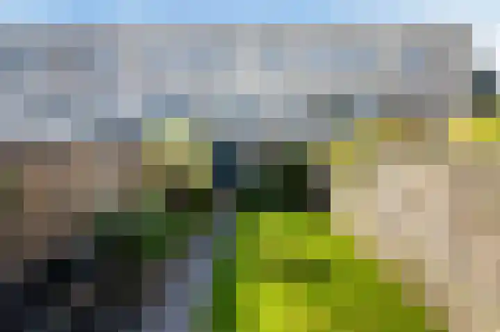 Zonnewende 11 Apeldoorn thumbnail 14