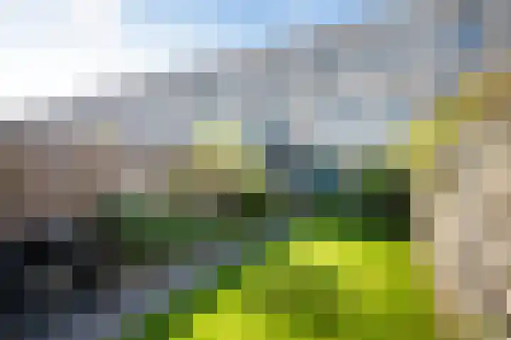 Zonnewende 11 Apeldoorn thumbnail 15
