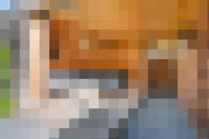 Zonnewende 11 Apeldoorn thumbnail 16