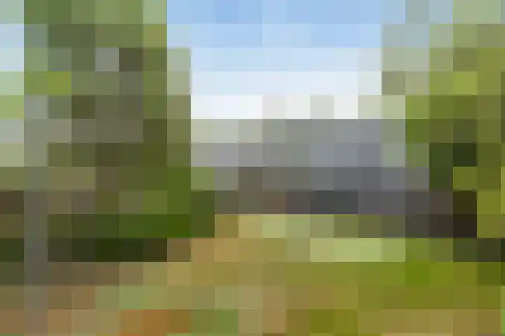 Zonnewende 11 Apeldoorn thumbnail 18