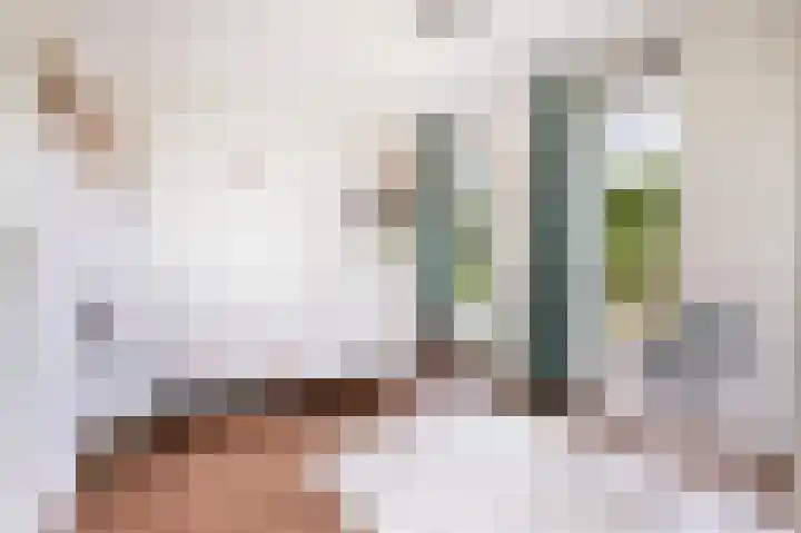 Zonnewende 11 Apeldoorn thumbnail 23