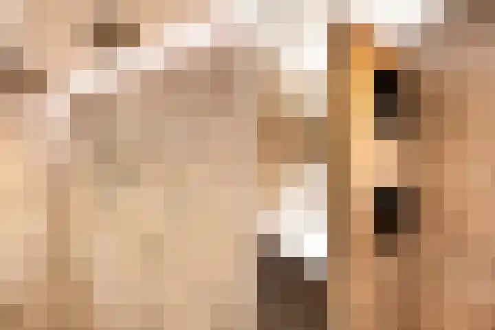 Zonnewende 11 Apeldoorn thumbnail 30