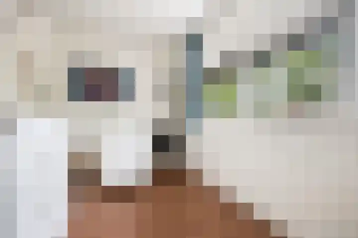Zonnewende 11 Apeldoorn thumbnail 32