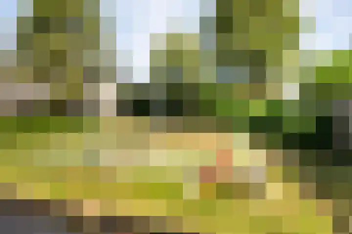 Zonnewende 11 Apeldoorn thumbnail 34