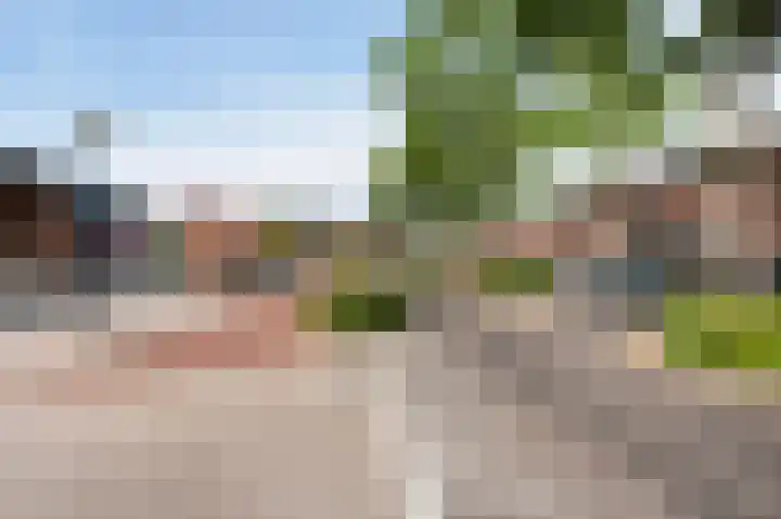 Zonnewende 11 Apeldoorn thumbnail 38