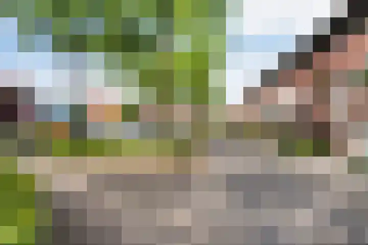 Zonnewende 11 Apeldoorn thumbnail 39