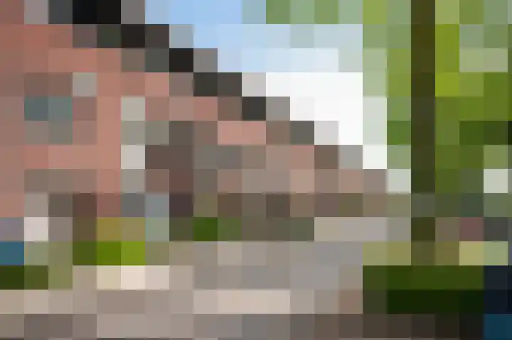 Zonnewende 11 Apeldoorn thumbnail 42