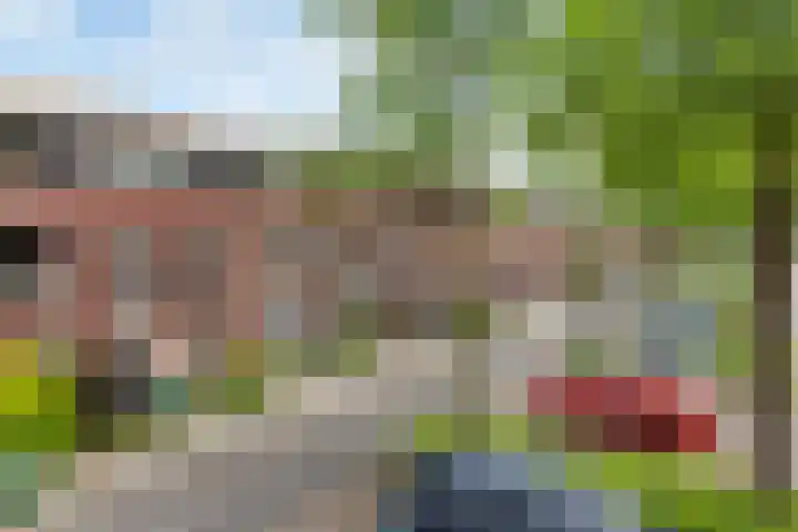 Zonnewende 11 Apeldoorn thumbnail 43