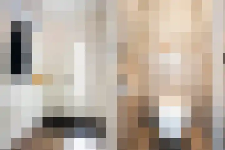Zonnewende 11 Apeldoorn thumbnail 5