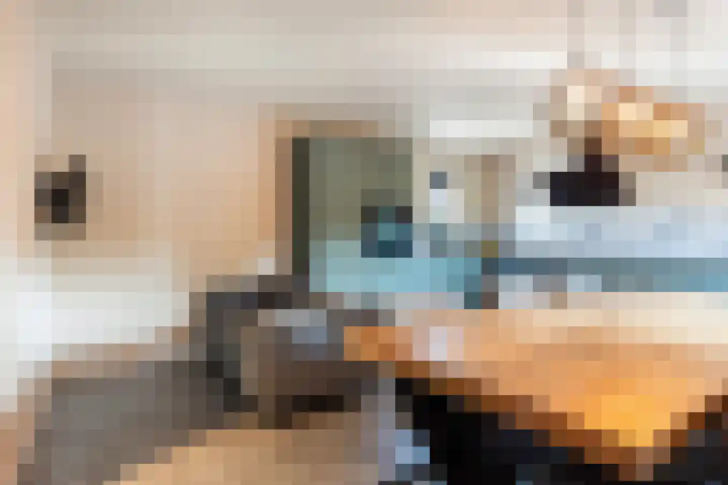 Zonnewende 111 Apeldoorn thumbnail 10