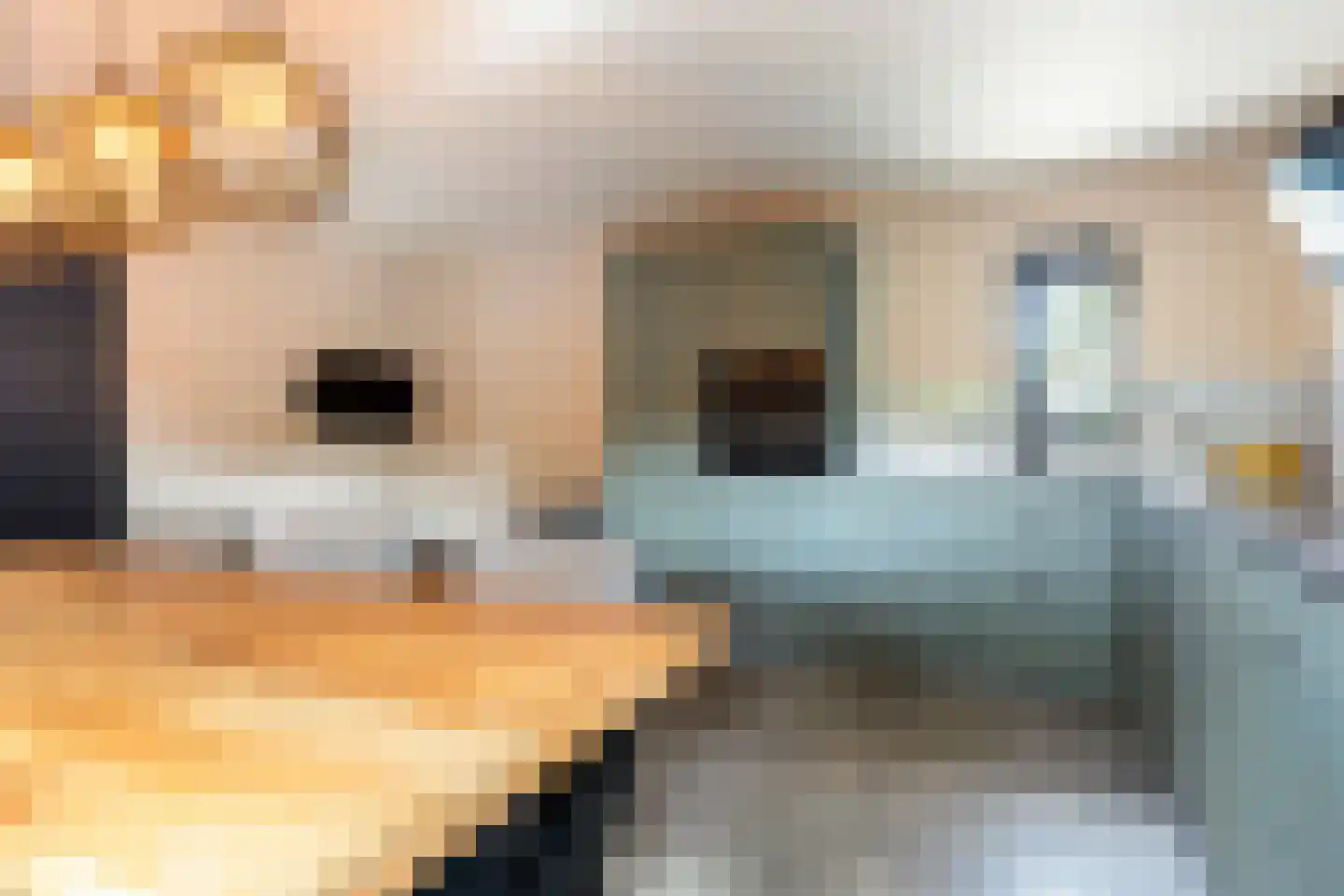 Zonnewende 111 Apeldoorn thumbnail 11