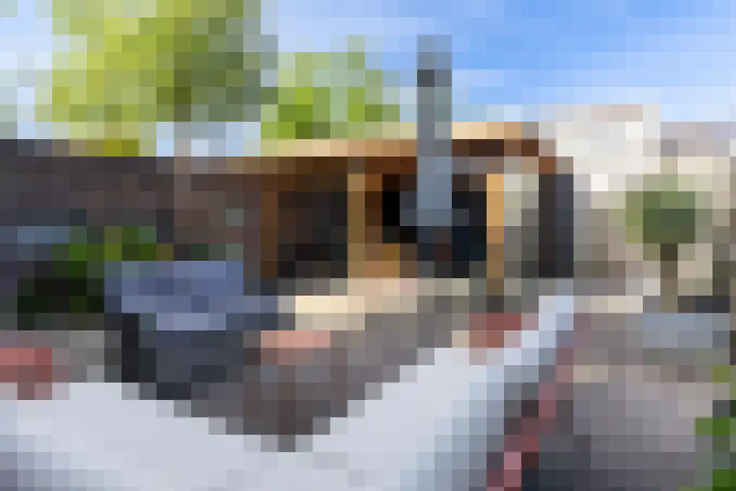 Zonnewende 111 Apeldoorn thumbnail 27