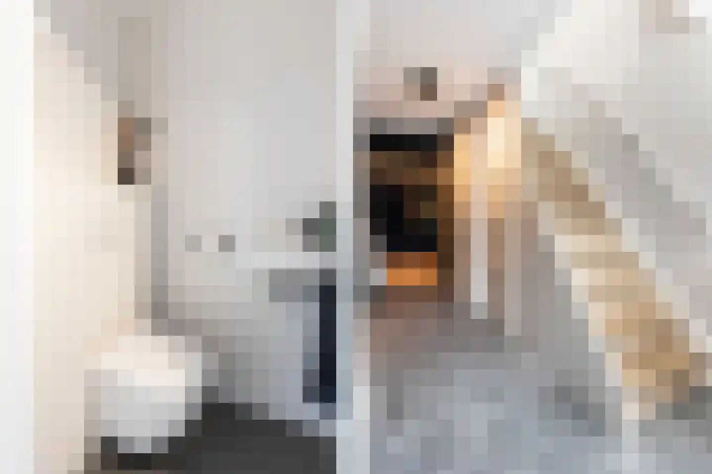 Zonnewende 111 Apeldoorn thumbnail 8
