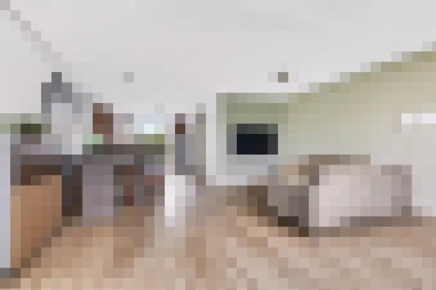 Zonnewende 146 Apeldoorn thumbnail 17
