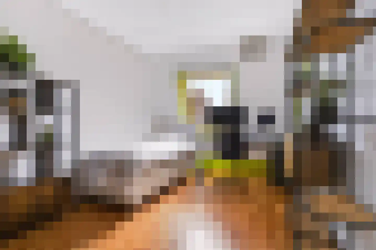 Zonnewende 146 Apeldoorn thumbnail 25