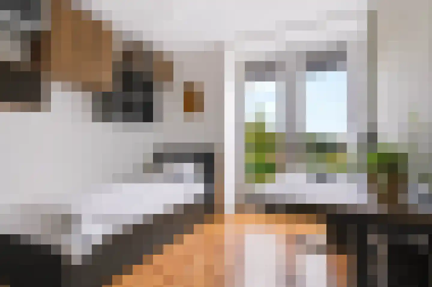 Zonnewende 146 Apeldoorn thumbnail 27