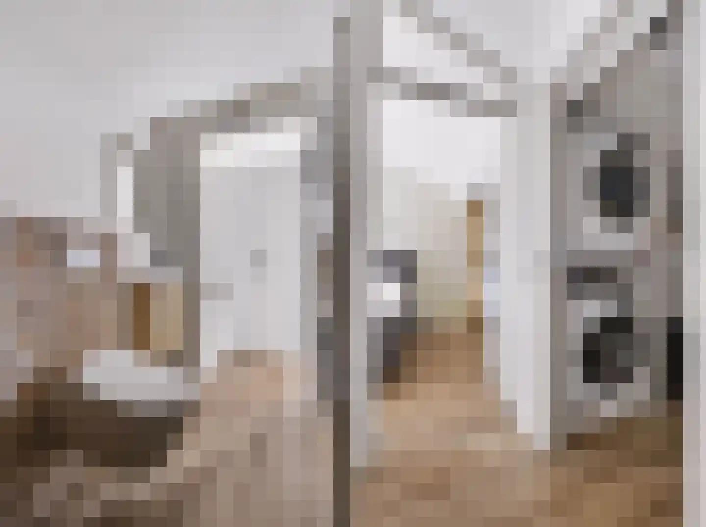 Zonnewende 146 Apeldoorn thumbnail 39