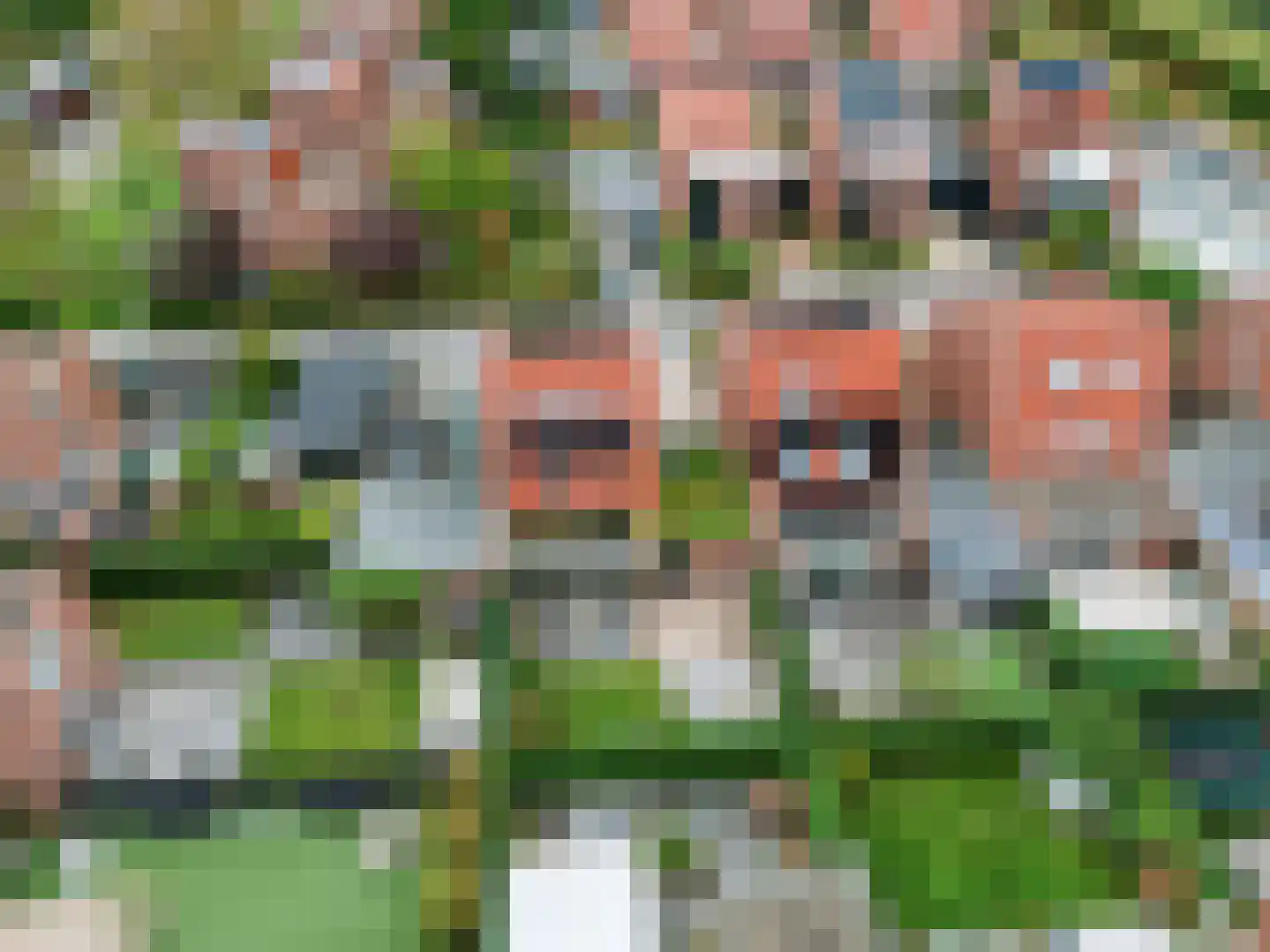 Zonnewende 146 Apeldoorn thumbnail 55