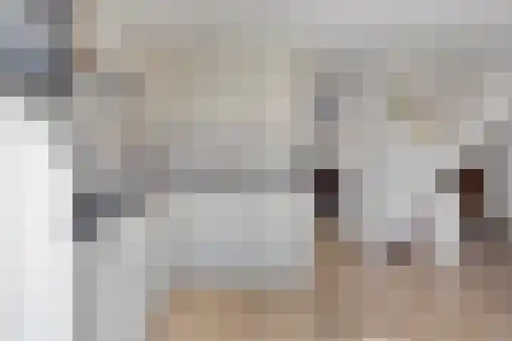 Zonnewende 161 Apeldoorn thumbnail 11