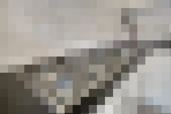 Zonnewende 161 Apeldoorn thumbnail 12