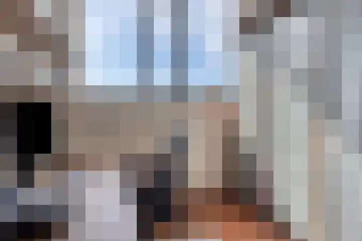 Zonnewende 161 Apeldoorn thumbnail 17