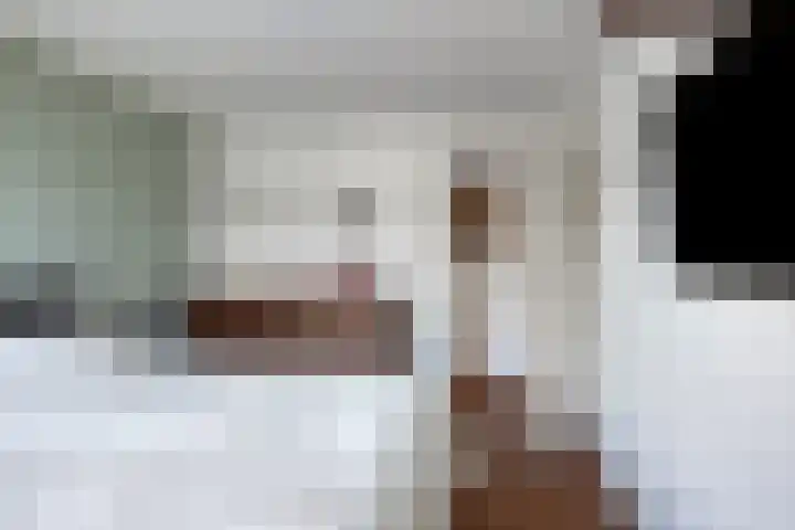 Zonnewende 161 Apeldoorn thumbnail 21