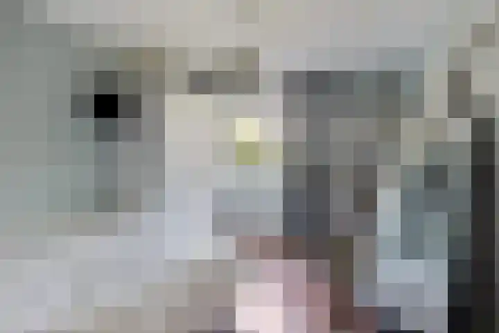 Zonnewende 161 Apeldoorn thumbnail 22