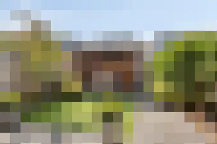 Zonnewende 161 Apeldoorn thumbnail 28