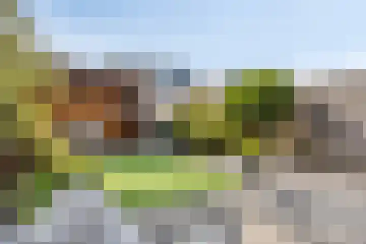 Zonnewende 161 Apeldoorn thumbnail 29