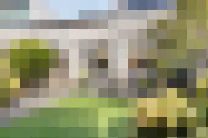 Zonnewende 161 Apeldoorn thumbnail 32