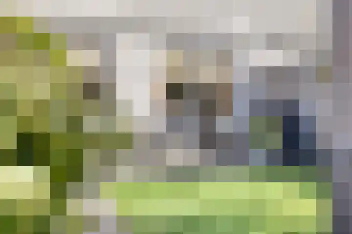Zonnewende 161 Apeldoorn thumbnail 33
