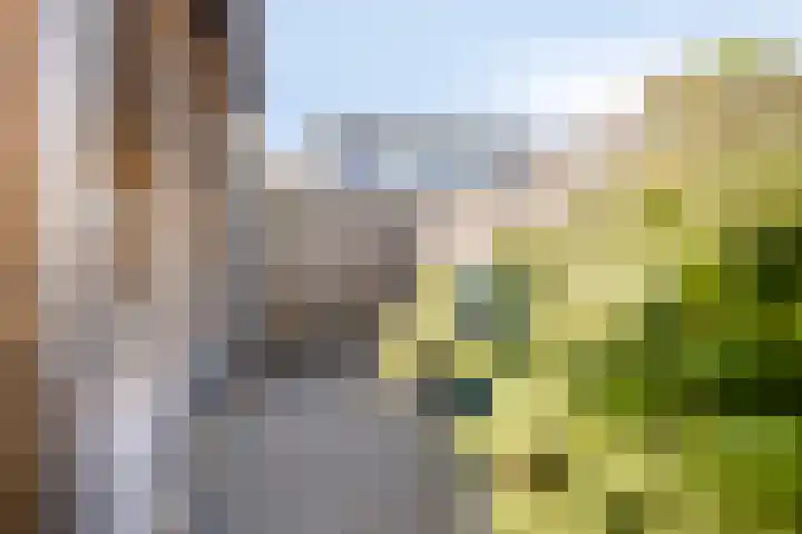 Zonnewende 161 Apeldoorn thumbnail 34